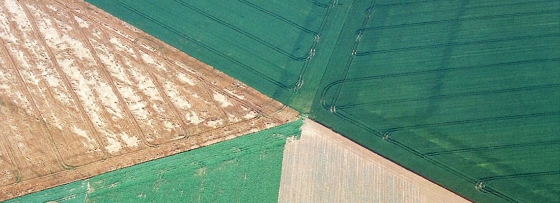 illustration More complex crop mosaics produce greater biodiversity in agricultural landscapes
