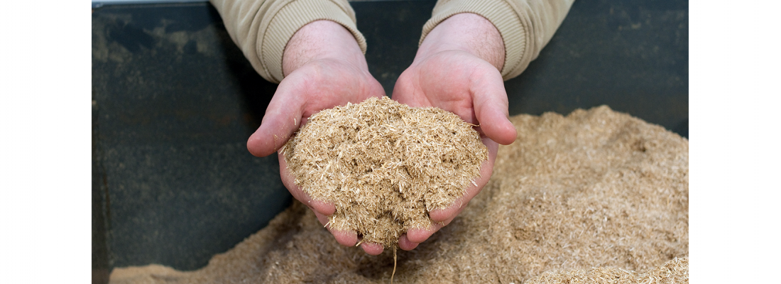 illustration La biomasse comme nouvelle ressource alimentaire ?