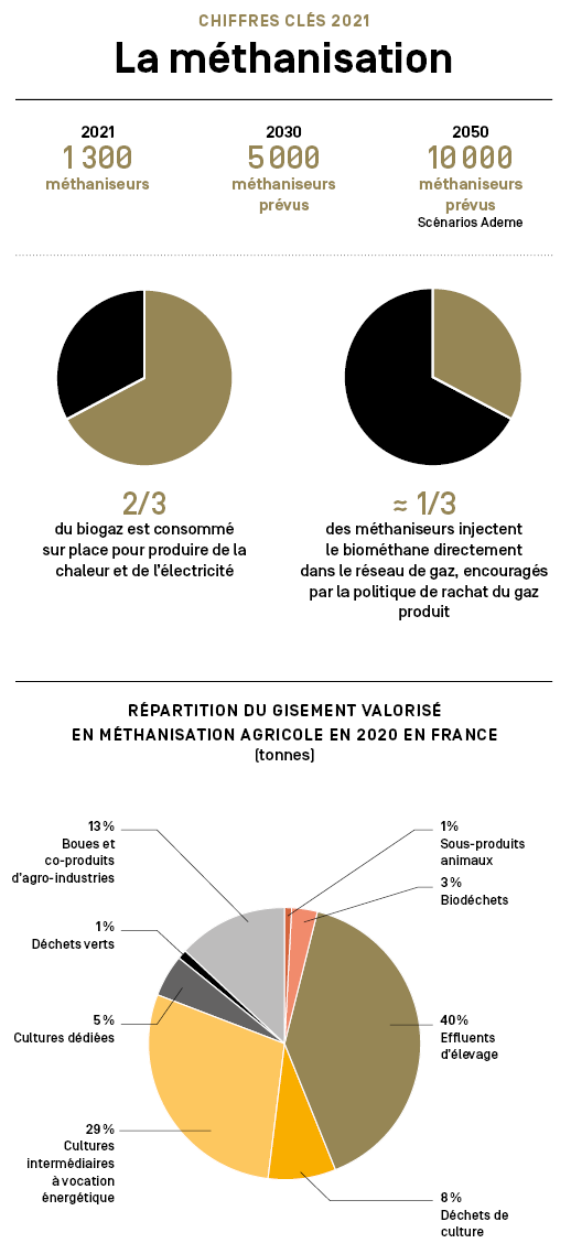 Infographie représentant les chiffres clés sur la méthanisation en France en 2021