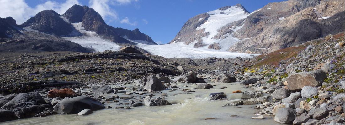 illustration Glacier retreat impacts alpine river habitats, leaving biodiversity poorly protected