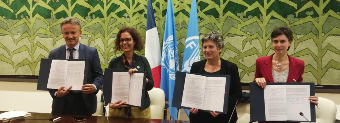 illustration New cooperation agreement between FAO and INRAE, CIRAD and IRD to support the transformation of agrifood systems 
