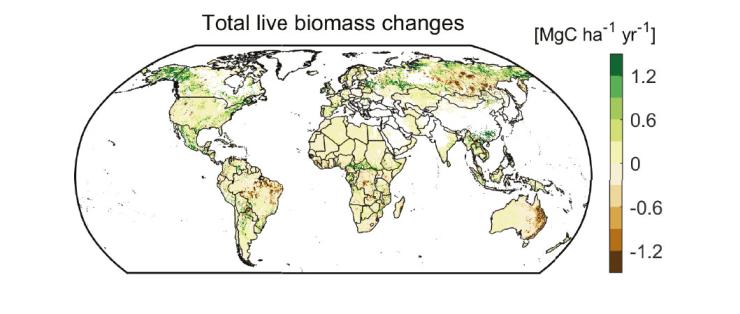 Carte de l'évolution de la biomasse végétale dans le monde