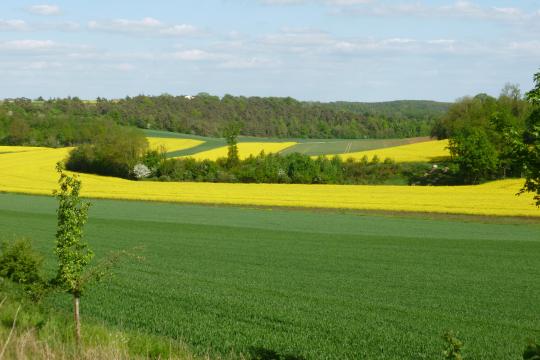 Les impacts du Green Deal européen dans le secteur agroalimentaire
