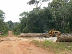 Route forestière en Guyane française
