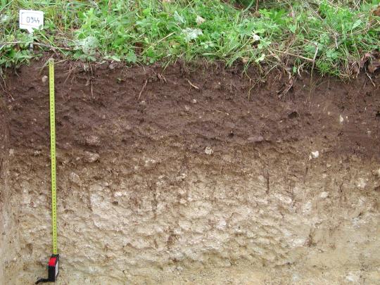 Storing 4 per 1000 carbon in soils: the potential in France