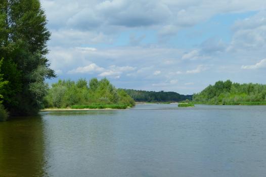 Recherches du centre INRAE Val de Loire en lien avec les filières agricoles et forestières 