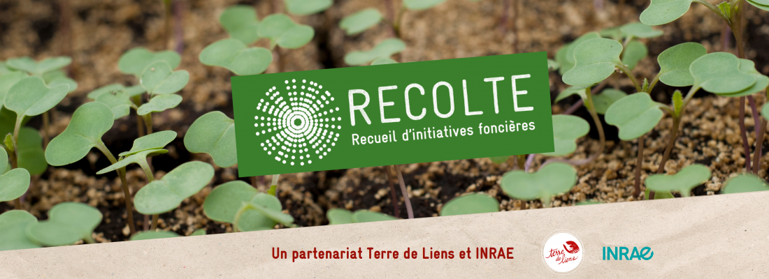 illustration Lancement de la plateforme collaborative RÉCOLTE  pour préserver les terres agricoles 