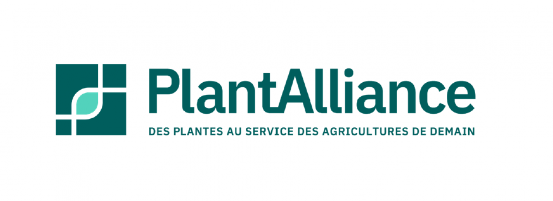 illustration PlantAlliance: driving innovation in plant genetics for sustainable agriculture