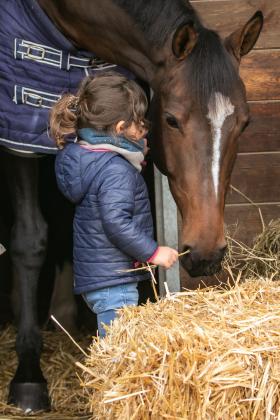 enfant donnant de la paille à un cheval