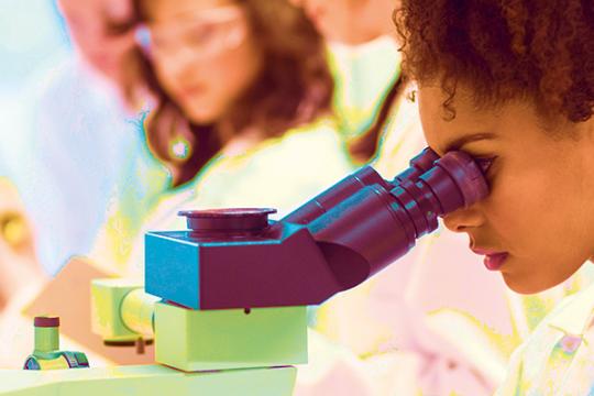 INRAE et ses partenaires nord-américains renforcent leurs collaborations scientifiques et institutionnelles 