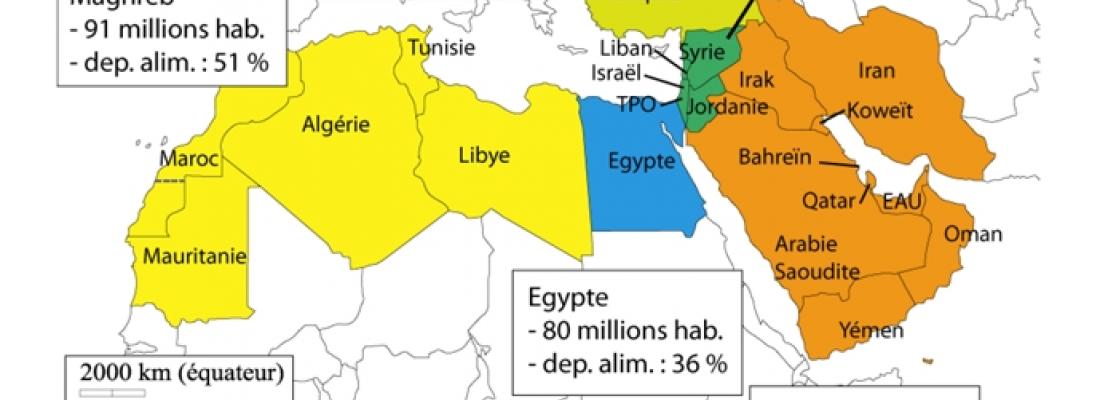 illustration  Afrique du Nord - Moyen-Orient à l'horizon 2050, vers une dépendance accrue aux importations agricoles
