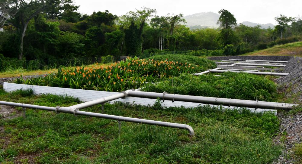 Adaptation of vertical flow treatment wetland to tropical climate 