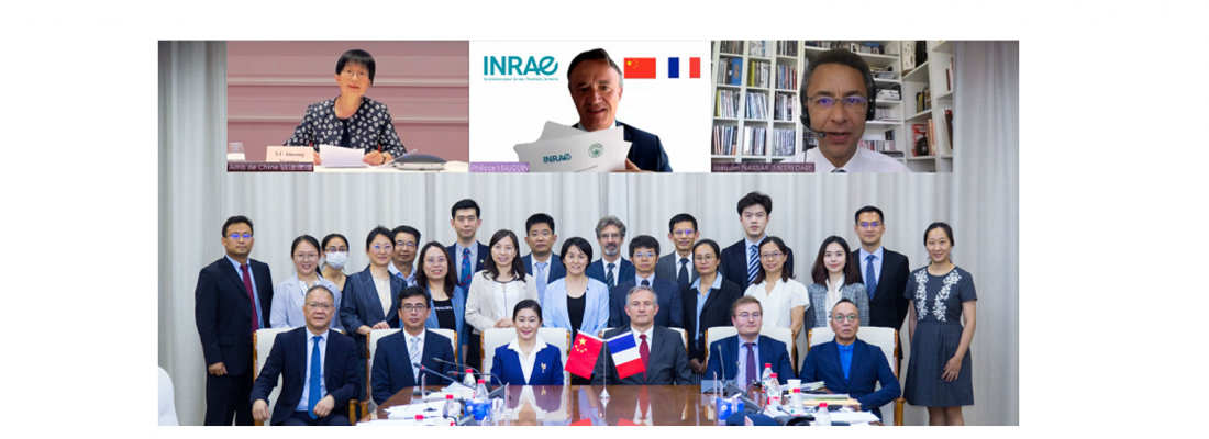 illustration INRAE and the Chinese Academy of Agricultural Sciences (CAAS) renew partnership agreement 