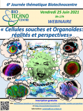 Affiche webinaire Cellules souches et organoïdes Biotechnocentre 25/06/2021