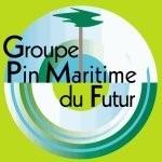Logo du groupe Pin maritime du futur