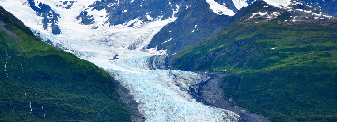 illustration Le changement climatique modifie la biodiversité autour des glaciers