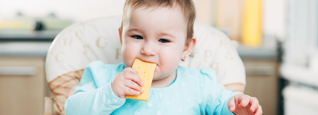 illustration A diet rich in cheese in early childhood may protect against allergies