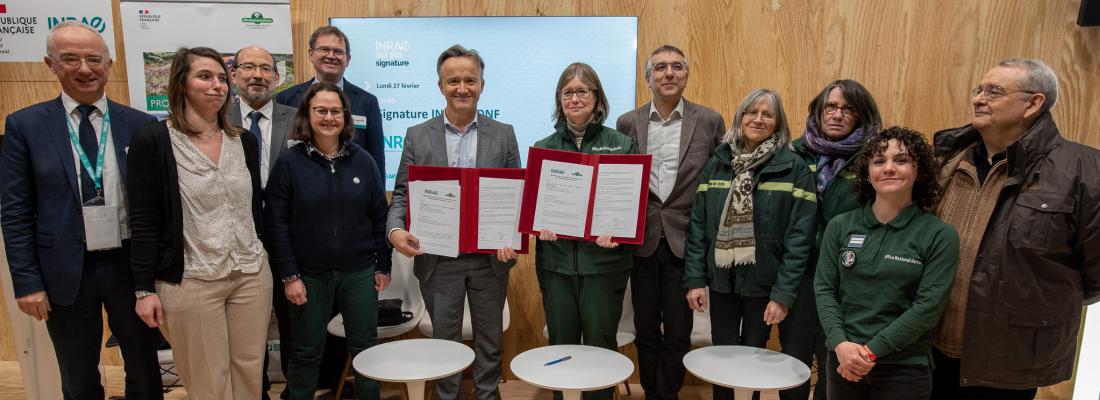 illustration INRAE et l’ONF amplifient leur partenariat  recherche et innovation pour la forêt du 21e siècle