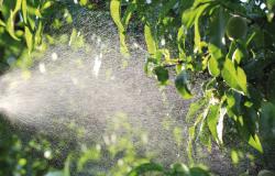 Accéder à l'article "Prendre en compte les effets des pesticides dans les procédures réglementaires"