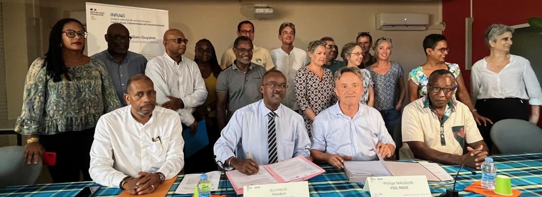 illustration La Région Guadeloupe et INRAE renouvellent leur partenariat 