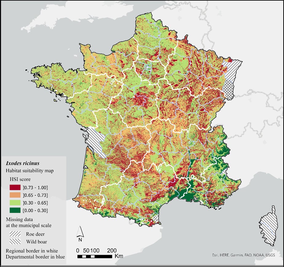 Rating map of areas prone to the tick Ixodes Ricinus activity in mainland France .