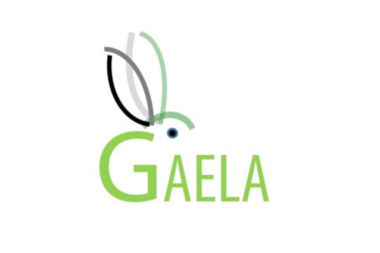 L’application smartphone GAELA remporte un Innov’SPACE