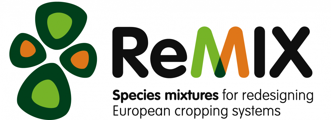 illustration ReMIX- Un projet pour promouvoir les cultures associées en Europe 