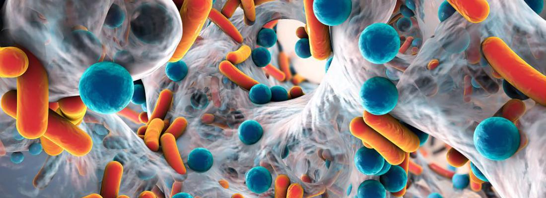 illustration Microbiote intestinal : fonctionnement d’une bactérie vampire