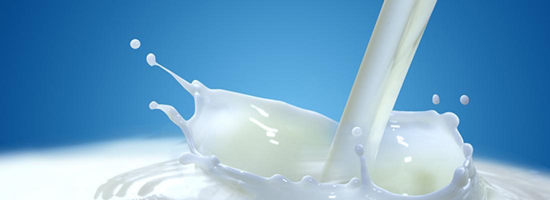 illustration The natural lipids in buttermilk could contribute to reducing cardiovascular risk in vulnerable populations