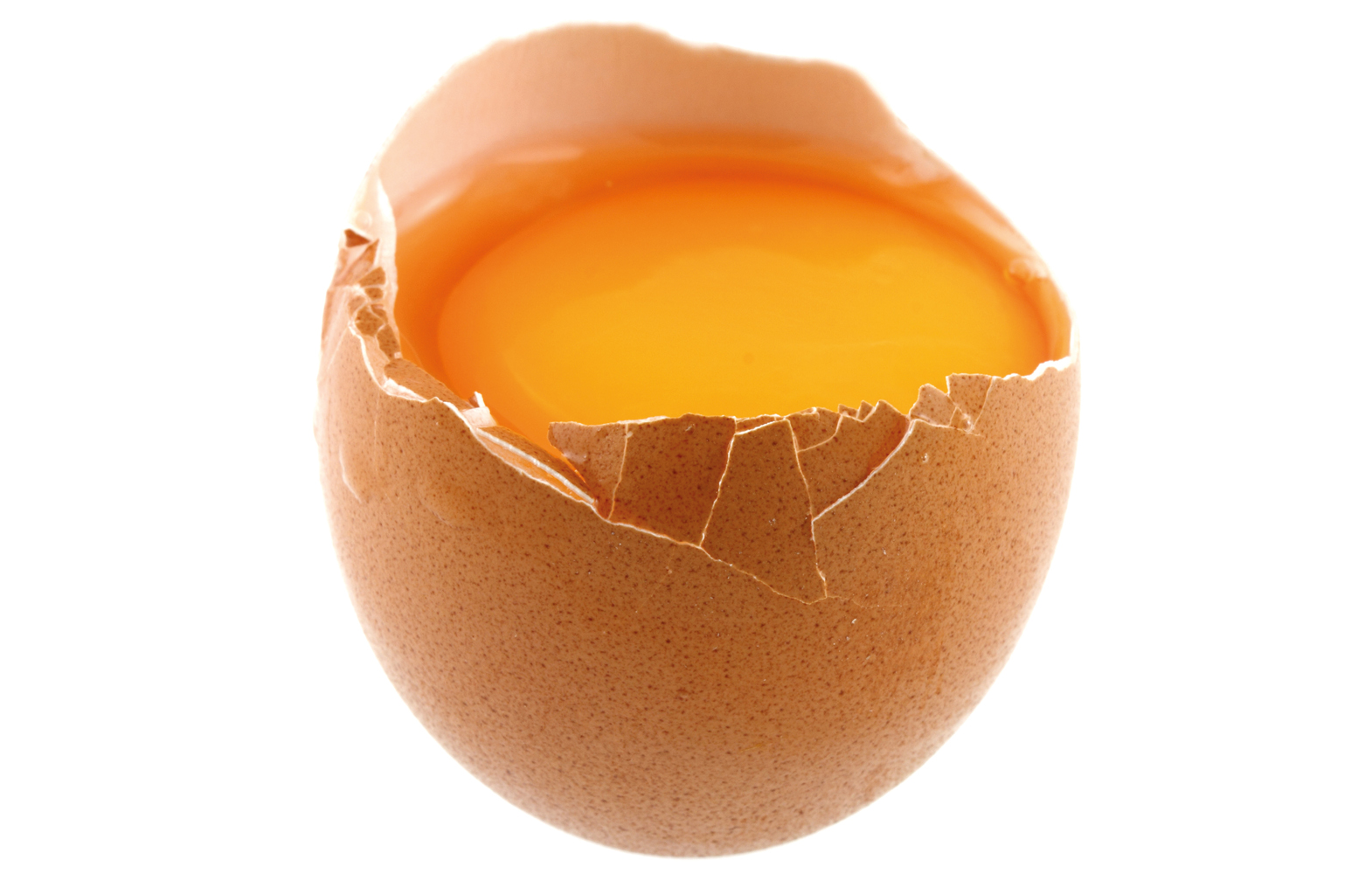 Les délices de l'œuf : exquises protéines