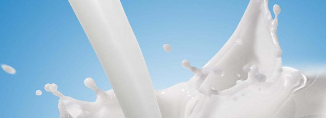 illustration Entre qualité du lait produit et quantité de méthane émis, faut-il choisir ?