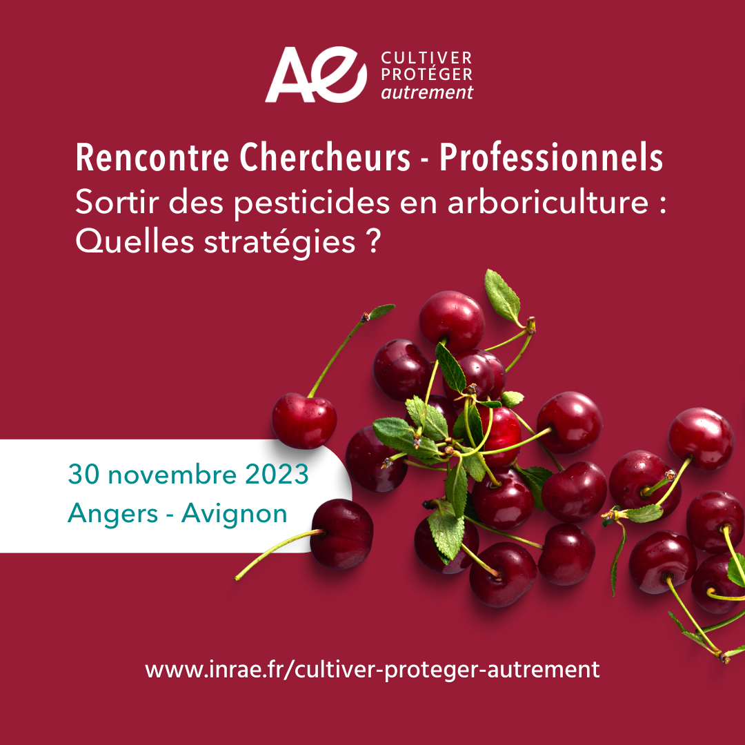 Rencontre Chercheurs-Professionnels 2023