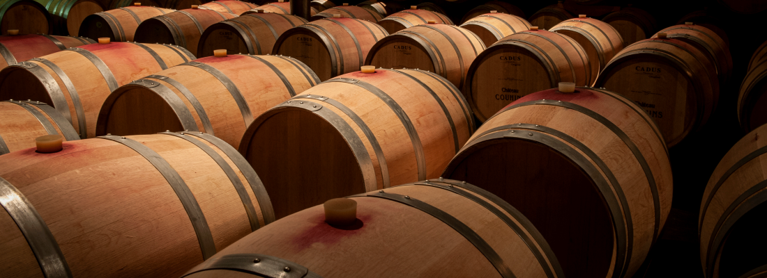 illustration Arômes du vin : la fermentation au cœur de l'innovation