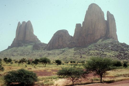 A groundbreaking study reveals the carbon stocks of 10 billion trees in the drylands of sub-Saharan Africa