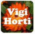 Logo appli Vigi Horti