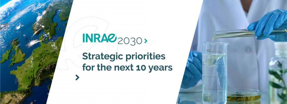 illustration Launch of INRAE2030: strategic priorities for the next 10 years