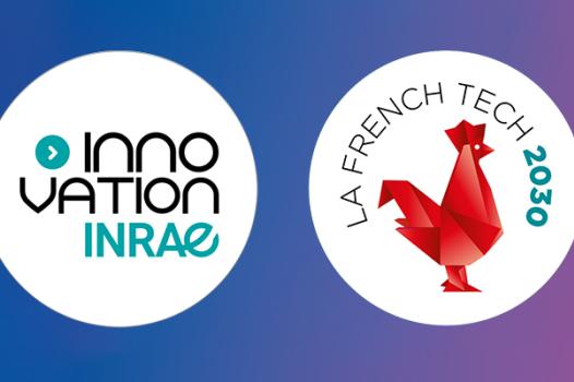 INRAE, à l’origine ou partenaire de 10 start-up lauréates du programme French Tech 2030