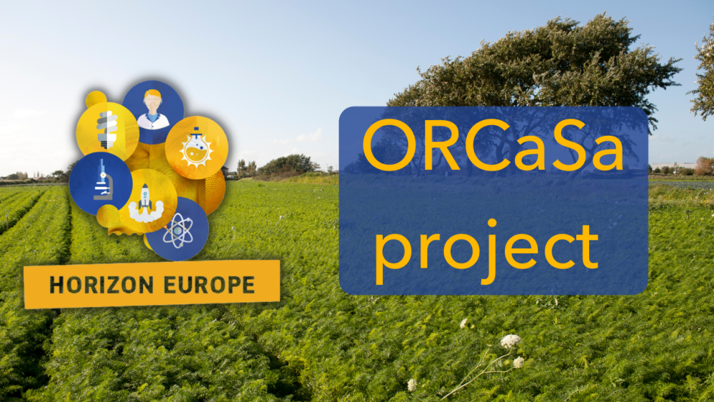 ORCASA: Operationalising International Reseach Cooperation on Soil carbon
