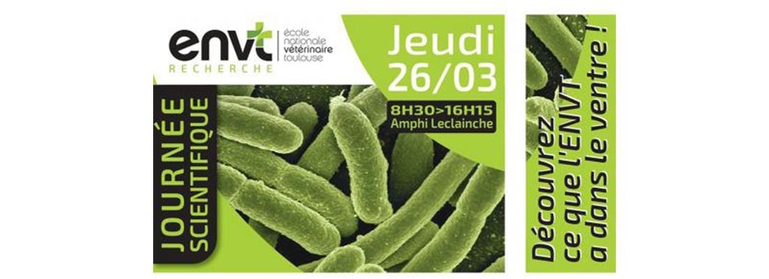 illustration Journée scientifique autour du tube digestif à l'Ecole Nationale Vétérinaire de Toulouse (ENVT)