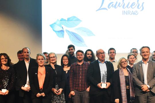 Le 4e palmarès des Lauriers d’INRAE honore  l’excellence de la recherche pour un futur plus durable