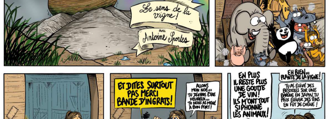 illustration « Le sens de la vigne » : le travail d’Antoine Sportes en BD ! 