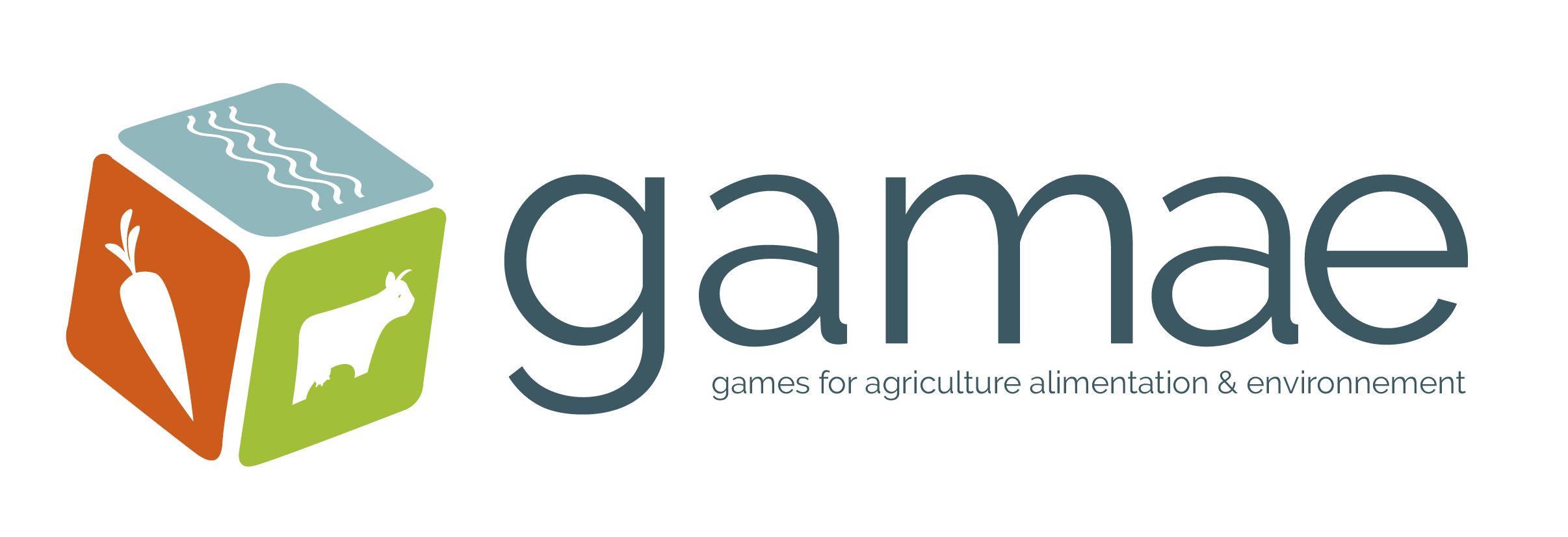 GAMAE, la nouvelle plateforme sur les jeux sérieux portée par l&#39;UMR  Territoires | INRAE INSTIT