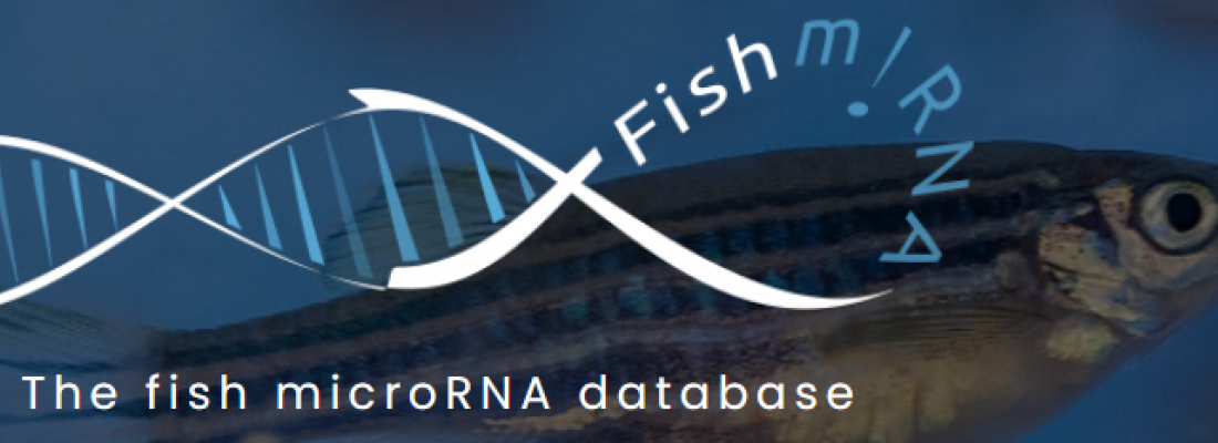 illustration FishmiRNA : une base de données internationale pour recenser et étudier les microARN de poisson