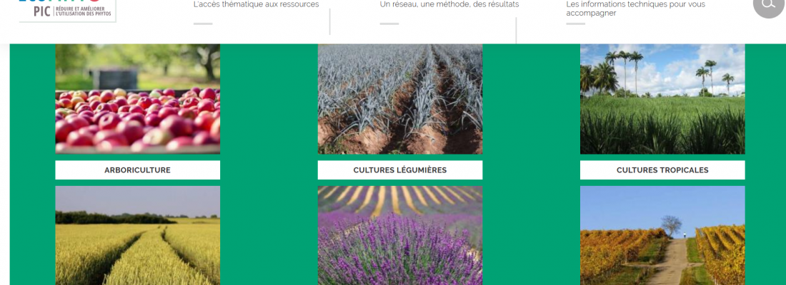 illustration Cellule Recherche Innovation Transfert : accélérer la transition agroécologique auprès des acteurs de terrain