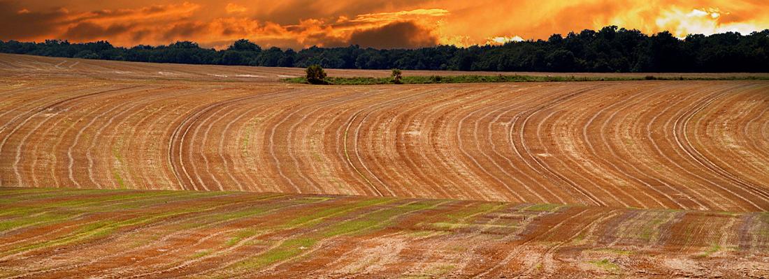 illustration Colloque de restitution de l’étude « Agricultures européennes à l’horizon 2050 : entre enjeux climatiques et défis de la sécurité alimentaire mondiale »