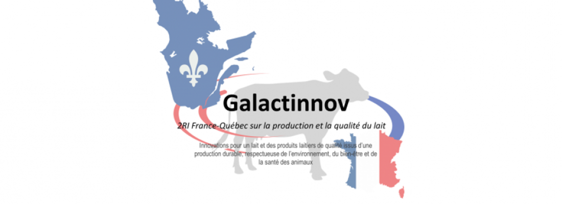 illustration Galactinnov : création d’un réseau de recherche international au service d’une production laitière de qualité et durable 