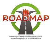 Logo du projet Roadmap